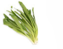 Parsley - Pak Chee Farang