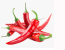 Bird Chili - Piments oiseaux - Prik Nok Deng